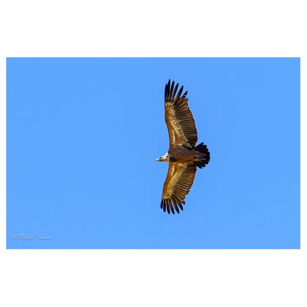 PHOTO84, CLUB, 84 , LUBERON